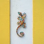 Casa Do Sol Σπίτι διακοπών *